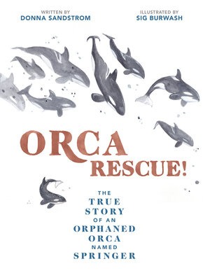 cover image of Orca Rescue!